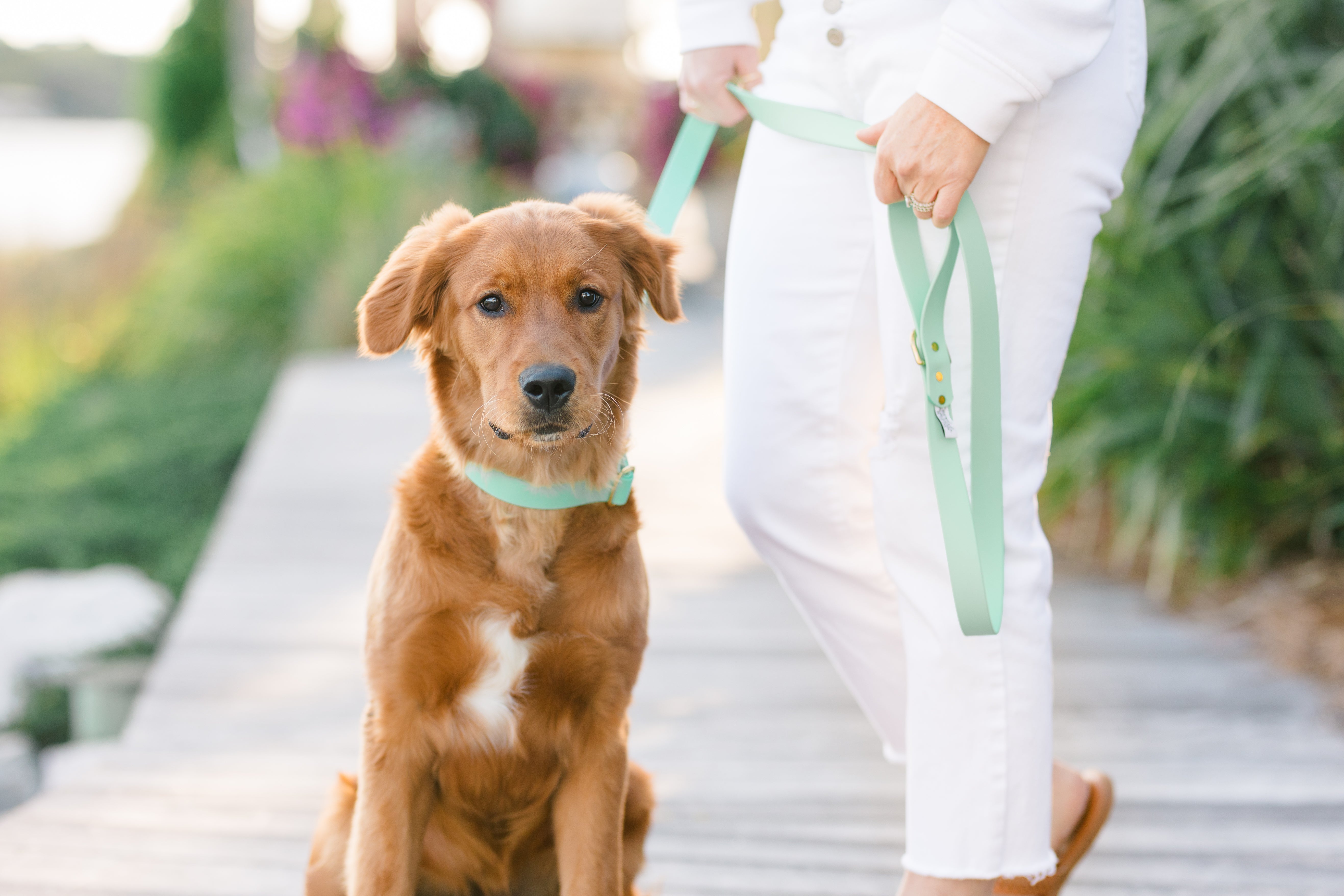Seafoam Biothane Collar - Crew LaLa