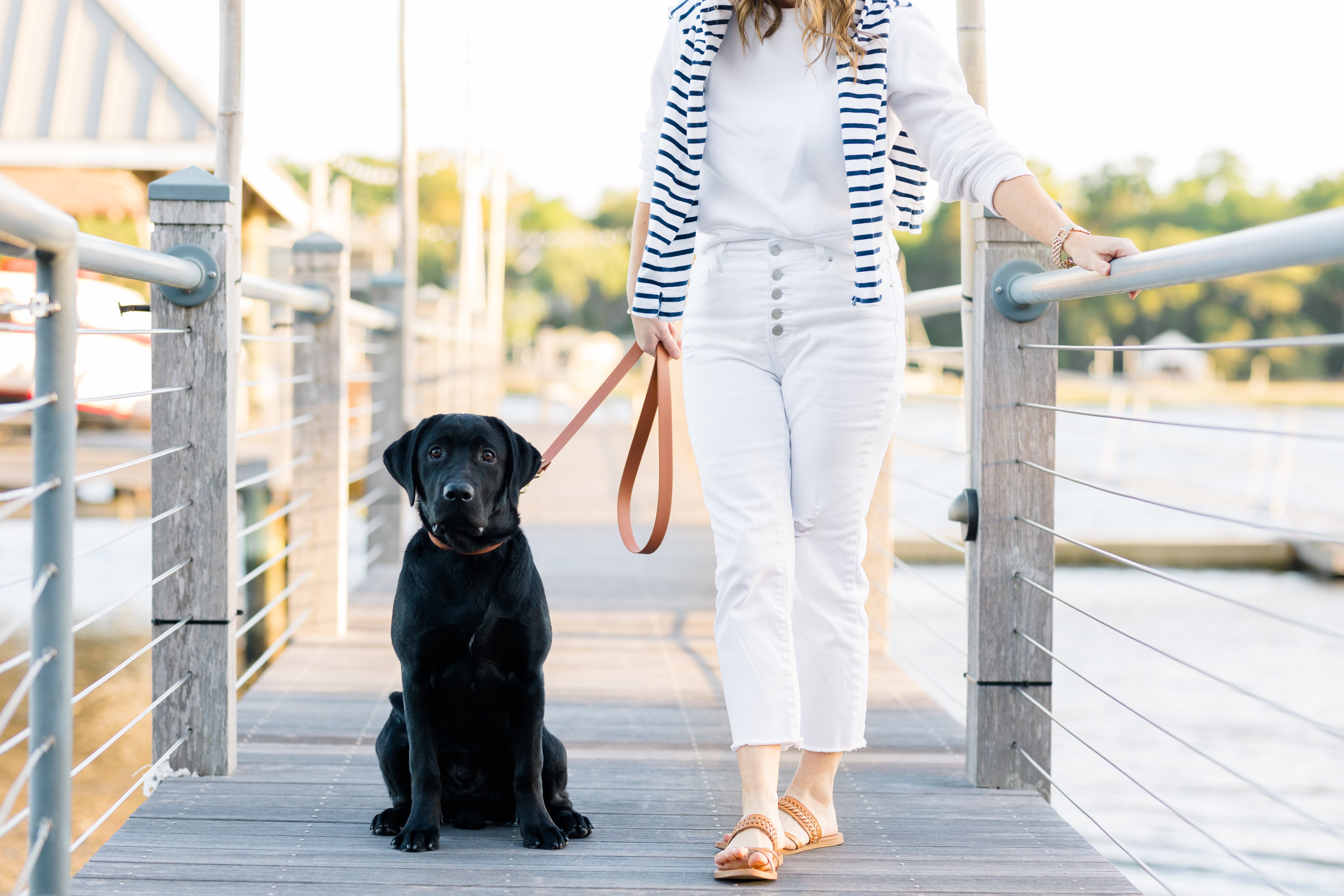 Tan Biothane 5' Leash - Crew LaLa