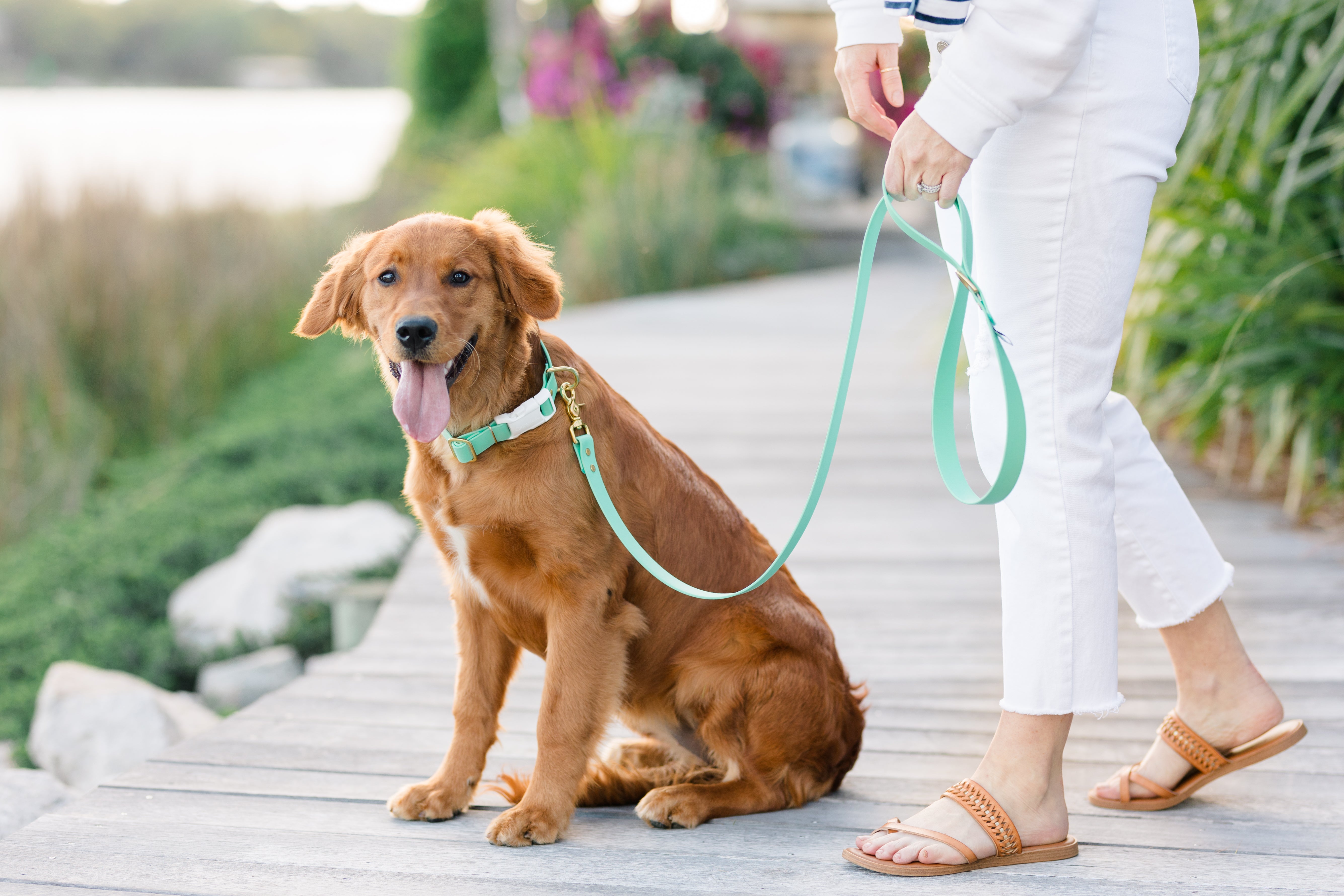 Seafoam Biothane 5' Leash - Crew LaLa