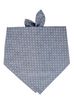Tiny Dots on Chambray Canvas Dog Bandana