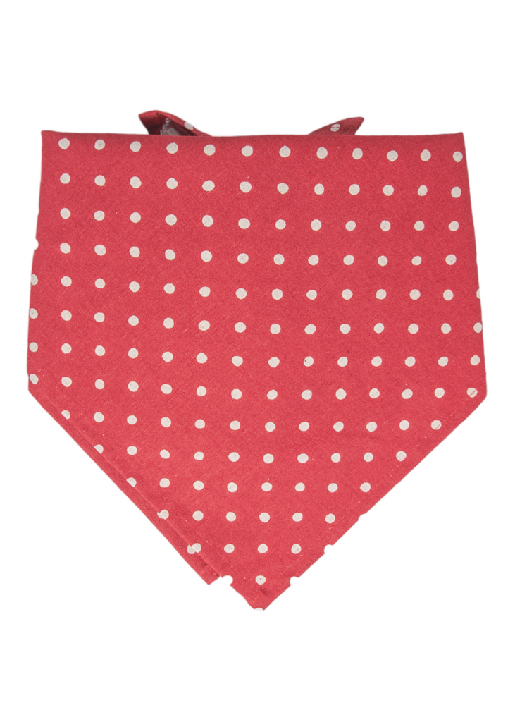 Ivory Dot on Ruby Red Canvas Dog Bandana