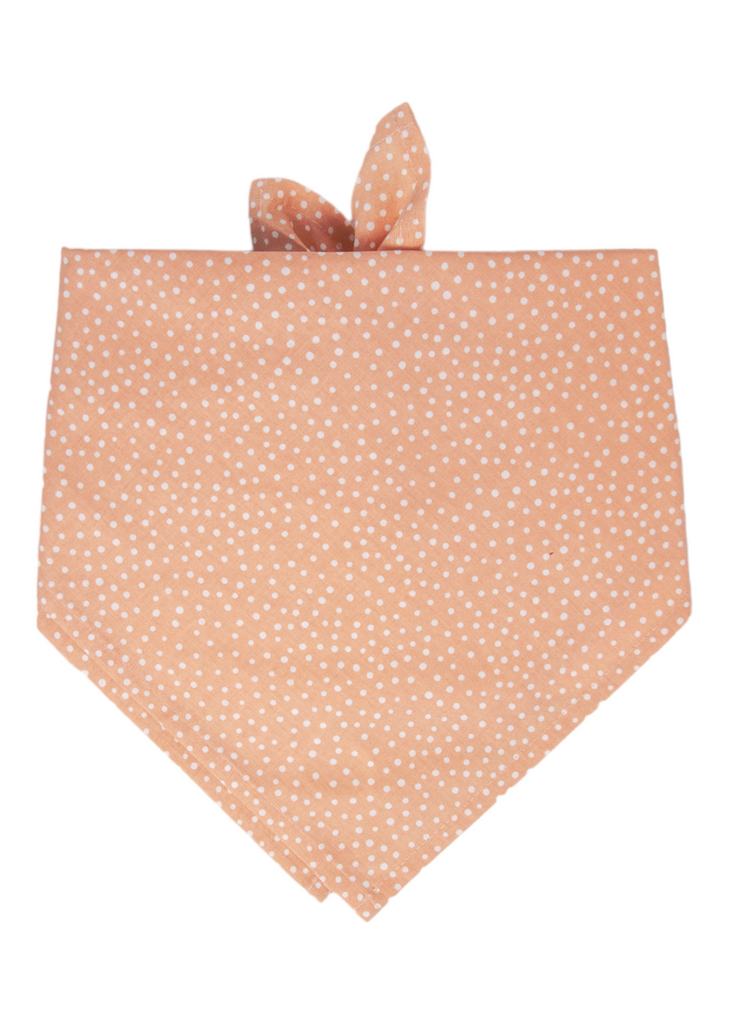 Sorbet Spots Dog Bandana