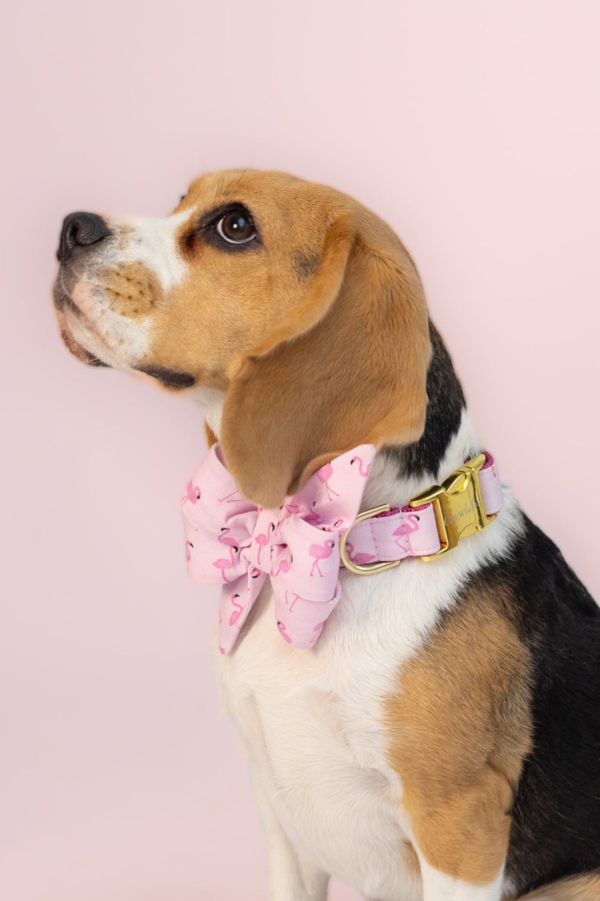 Colladog Patriotic Dog Collar With Bow Independence Dog Colla-USA Flag Popsicle ...
