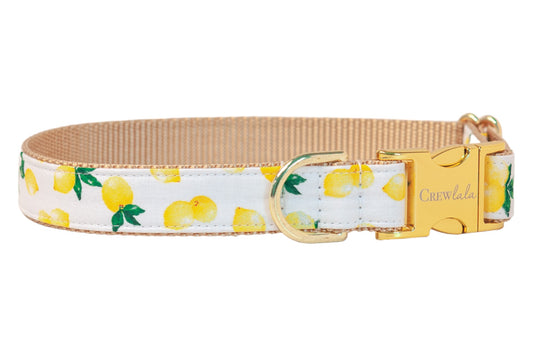 Make Lemonade Dog Collar - Crew LaLa