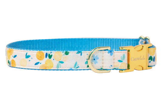 Sunday Brunch Dog Collar - Two Styles! - Crew LaLa