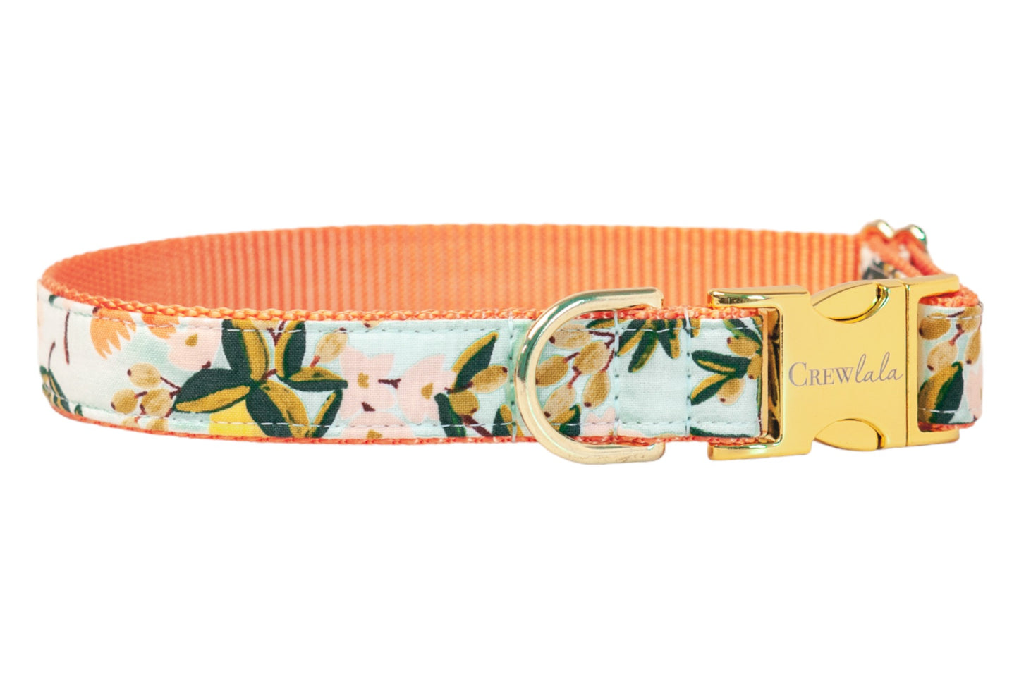 Sweet Clementines Dog Collar - Crew LaLa