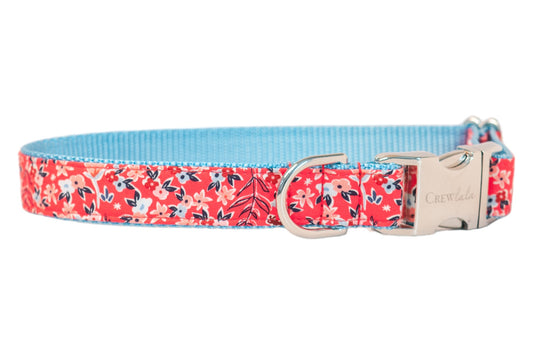 Summer Fields Dog Collar - Crew LaLa