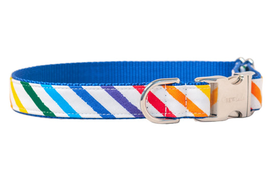 Proud Rainbow Dog Collar - Two Styles! - Crew LaLa