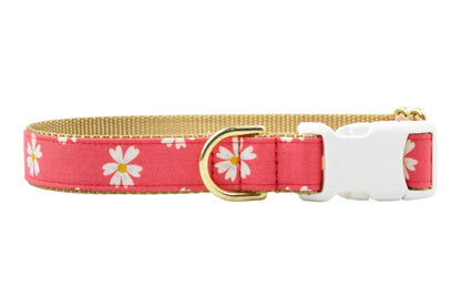 Coral Daisies Bow Tie Collar