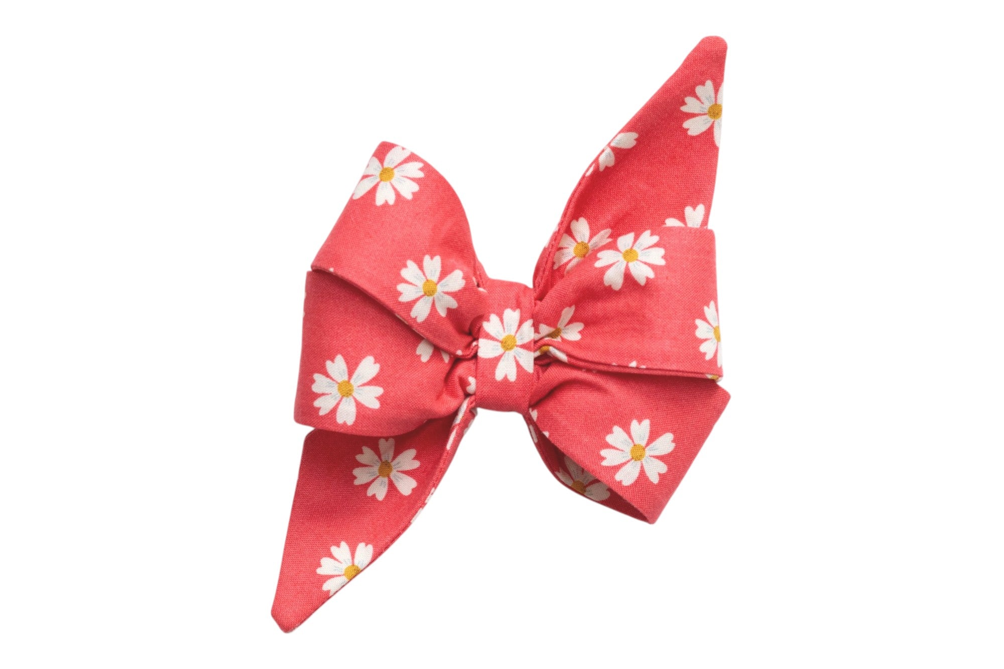 Coral Daisies Belle Bow
