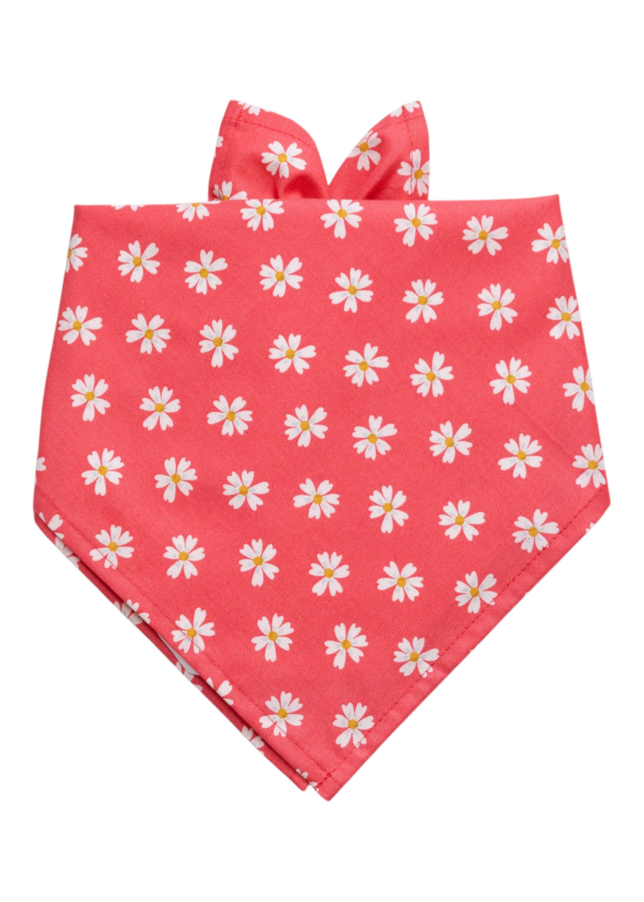 Coral Daisies Dog Bandana