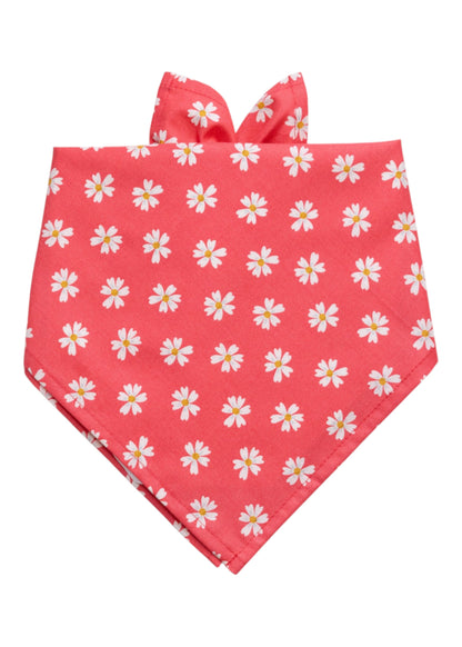 Coral Daisies Dog Bandana