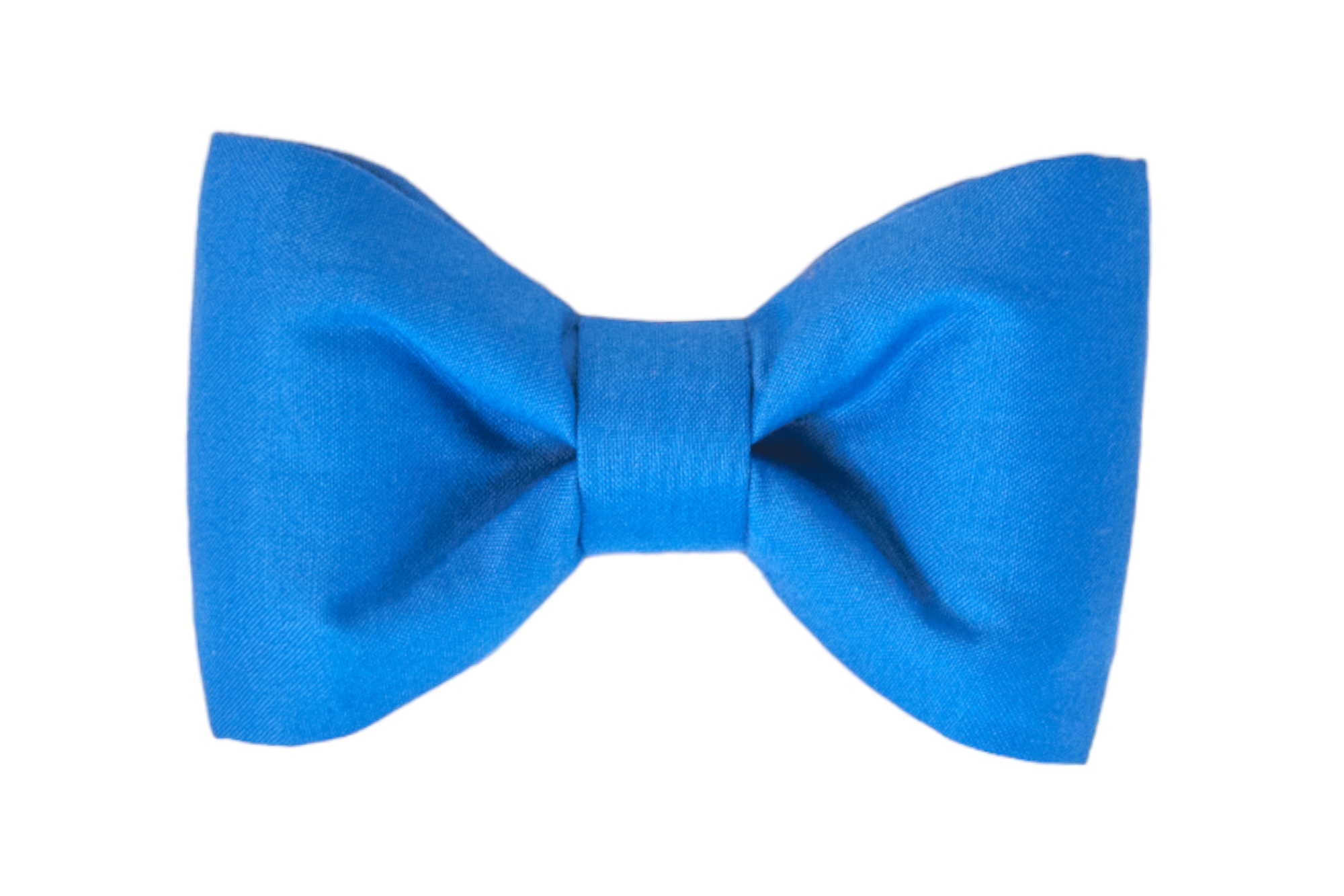 A stylish dog bow tie in a solid cobalt blue fabric, crafted with structured loops and a smooth center band. A versatile accessory that works for both everyday wear and special occasions.
