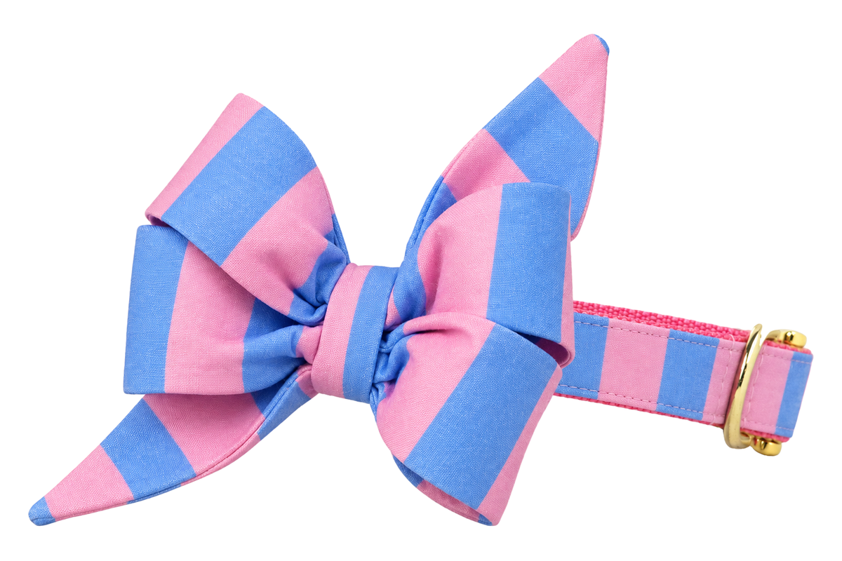 Dog collar featuring a large belle bow in Alfresco Stripe fabric, bold pink and periwinkle blue wide stripes, attached to a matching Alfresco Stripe collar with a nylon inner lining and gleaming gold hardware, including a D-ring and buckle.