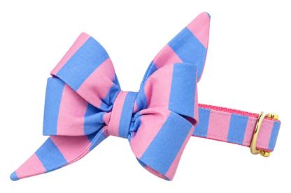 Dog collar featuring a large belle bow in Alfresco Stripe fabric, bold pink and periwinkle blue wide stripes, attached to a matching Alfresco Stripe collar with a nylon inner lining and gleaming gold hardware, including a D-ring and buckle.