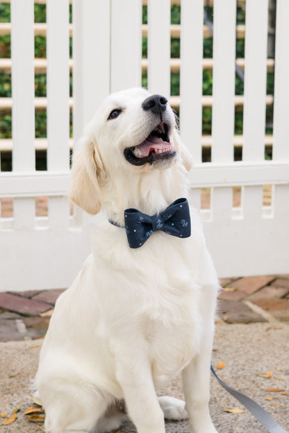 Retriever puppy in a dark navy nautical bow tie dog collar featuring anchors and stars, posed in front of a picket fence. A playful yet polished look that fits right into your pups coastal wardrobe.