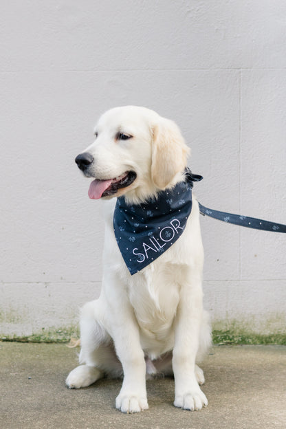 This cream-colored puppy models a navy blue bandana featuring light anchor prints and the name “Sailor” in bold lettering, matched with a coordinating leash. A perfect pick for seaside adventures, personalized gifts, or summer dog collections.