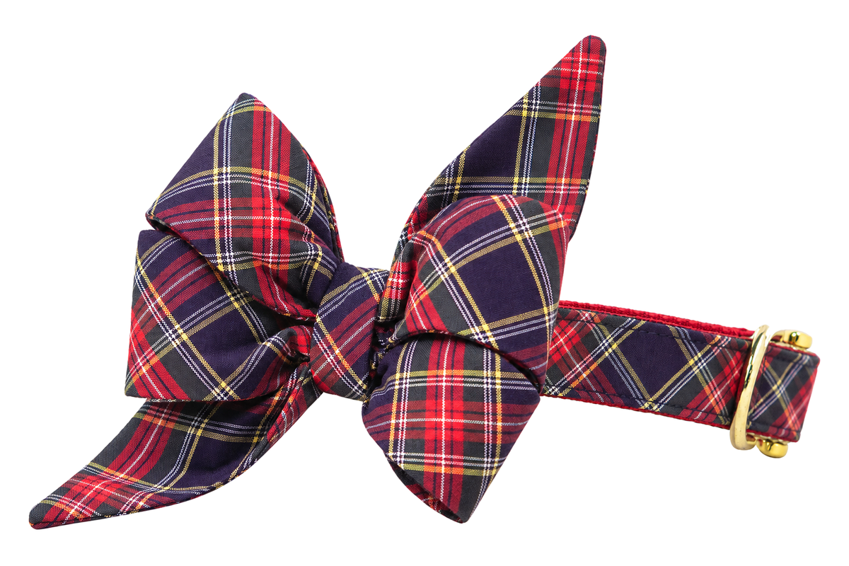 Dog collar featuring a large belle bow in Ansonborough Plaid fabric, a deep navy and purple tartan with red, white and yellow lines, attached to a matching Ansonborough Plaid collar with a nylon inner lining and gleaming gold hardware, including a D-ring and buckle.