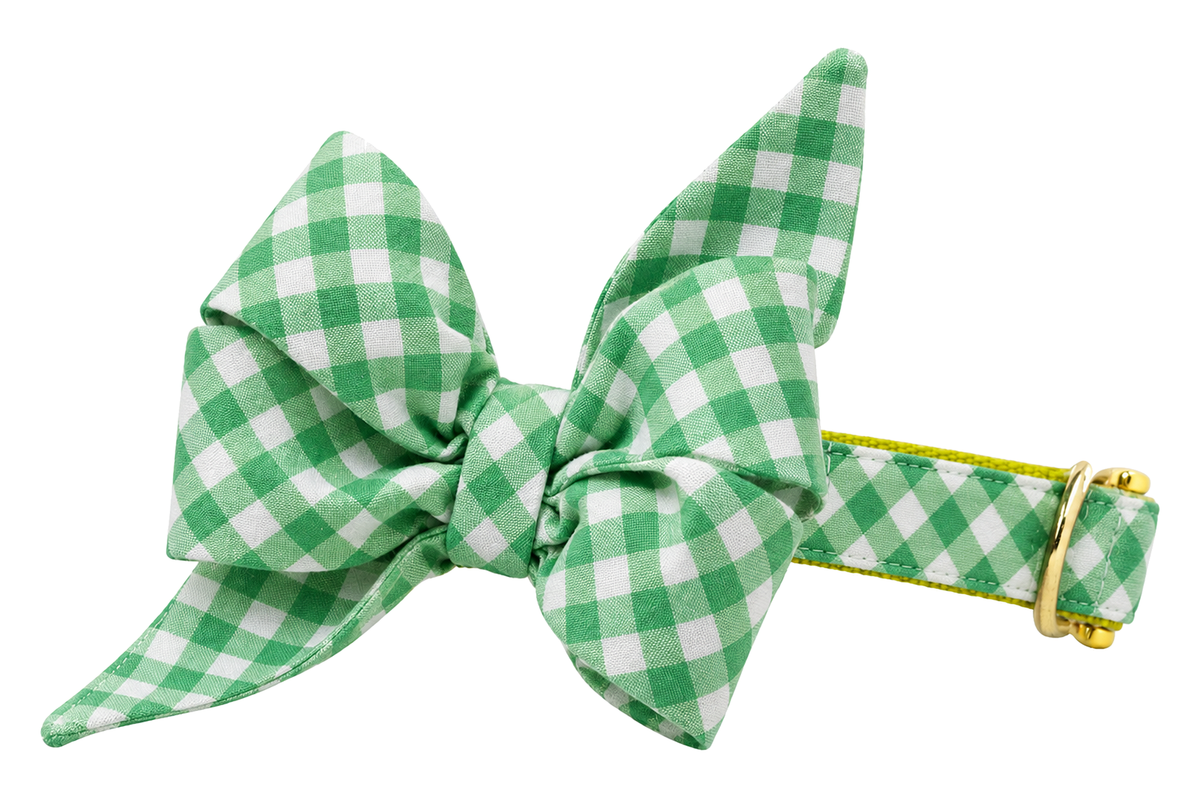 Dog collar featuring a large belle bow in Augusta Green fabric, a kelly green and white gingham check, attached to a matching Augusta Green collar with a nylon inner lining and gleaming gold hardware, including a D-ring and buckle.