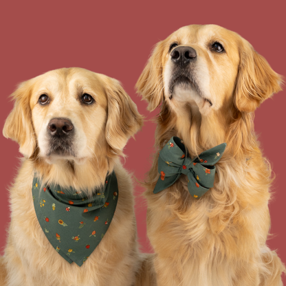 Two Retrievers showcase coordinating handcrafted dog accessories—a fall floral print belle bow collar set and bandana handmade made in Charleston, South Carolina—ideal for stylish dog lovers seeking locally made apparel.