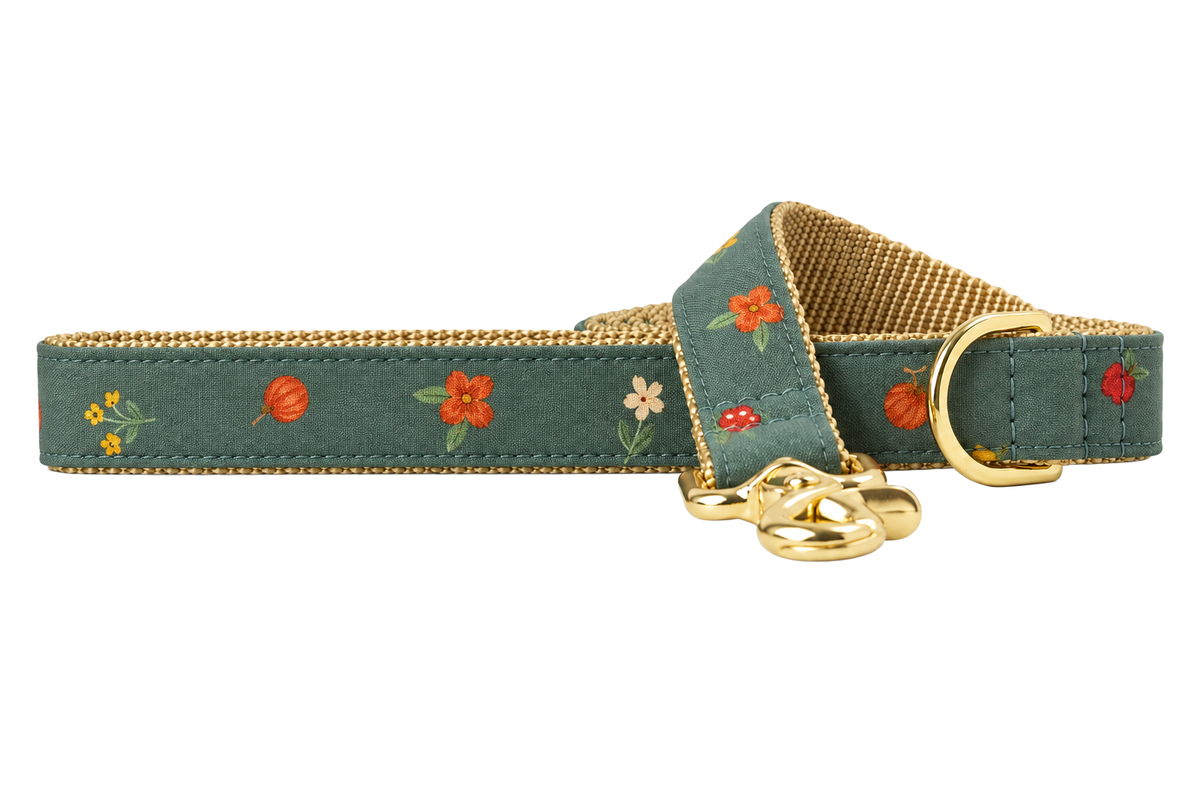 Autumn Blooms dog leash made with a muted sage green fabric with small scattered orange, red and golden yellow fall flowers, lined with tan beige nylon webbing, with a handle loop and a gold trigger clip.