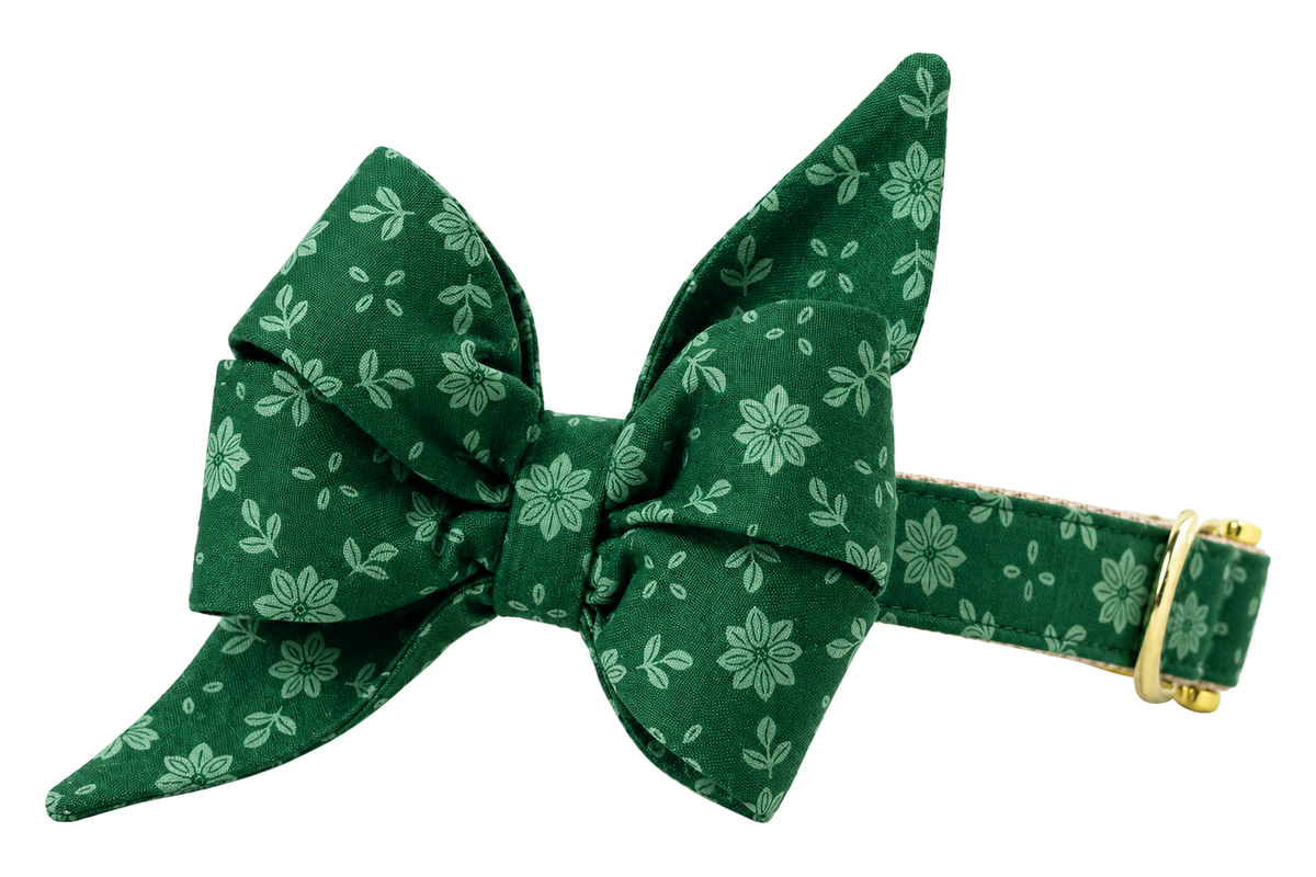 Dog collar featuring a large belle bow in Basil Blooms fabric, a deep forest green print with soft light green poinsettia flowers and leaves, attached to a matching Basil Blooms collar with a nylon inner lining and gleaming gold hardware, including a D-ring and buckle.