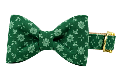 Classic dog collar featuring a Basil Blooms fabric bow tie, a deep forest green print with soft light green poinsettia flowers and leaves, attached to a matching Basil Blooms collar with a nylon inner lining and gleaming gold hardware, including a D-ring and buckle.