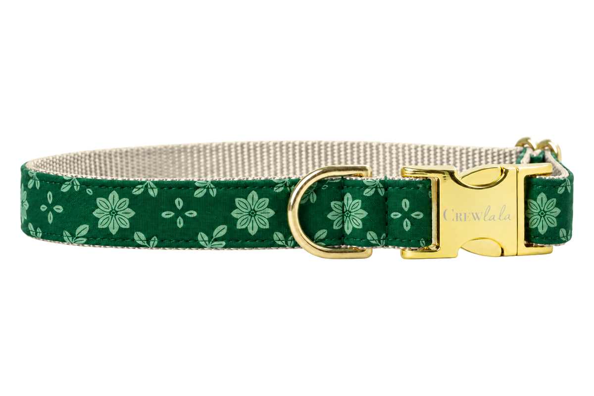 Plain Basil Blooms dog collar without the bow, made with a deep forest green print with soft light green poinsettia flowers and leaves, lined with light silver gray nylon webbing and gold hardware with a Crewlala logo buckle.