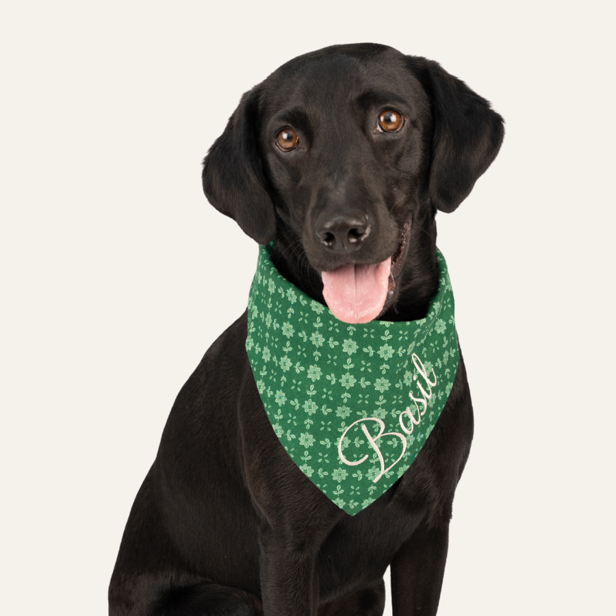 Cute dog with a shiny coat wears a green bandana featuring the "Basil Blooms" floral pattern and the name "Basil" embroidered in white script, sitting with its tongue out.
