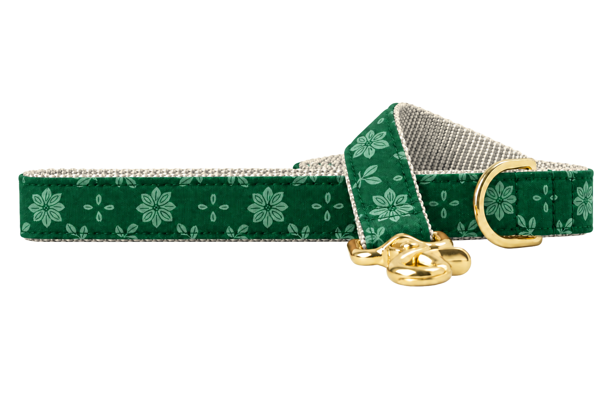 Basil Blooms dog leash made with a deep forest green print with soft light green poinsettia flowers and leaves, lined with light silver gray nylon webbing, with a handle loop and a gold trigger clip.