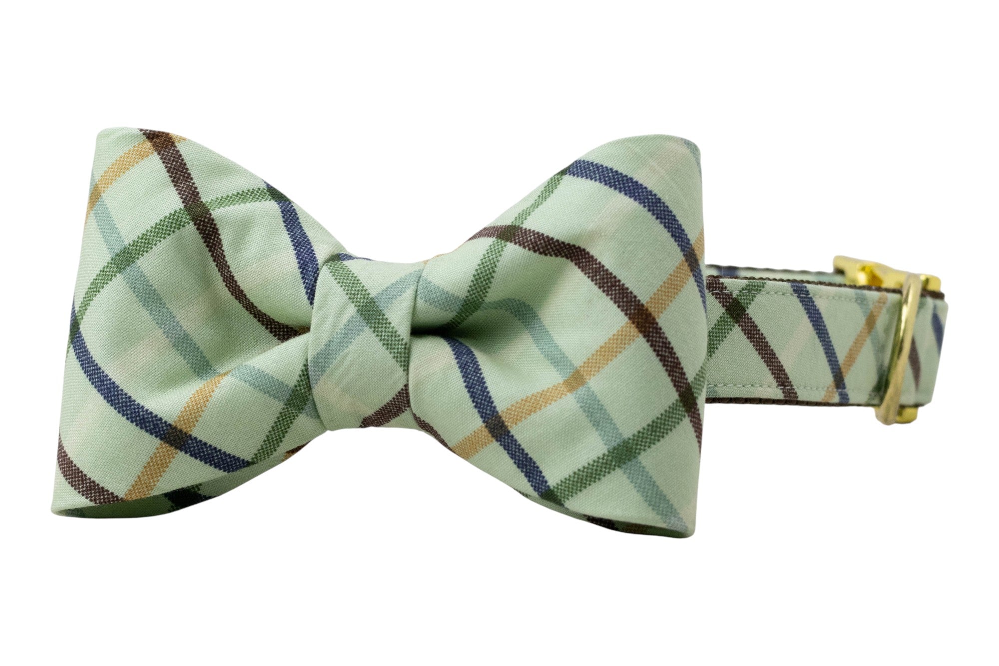 Dog collar with a matching plaid bow tie in soft green, accented with multicolored diagonal lines and finished with a shiny buckle.