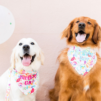 A cheerful golden retriever and a white retriever pose against a pastel wall, both smiling and wearing festive birthday bandanas reading “Birthday Boy” and “Birthday Girl” in bright, bold text.