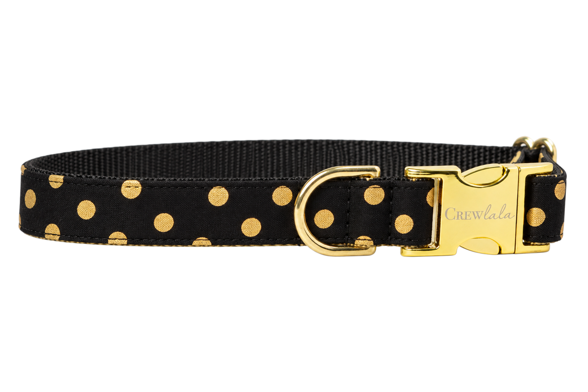 Plain Black Party Dot dog collar without the bow, made with a black fabric with metallic gold polka dots, lined with black nylon webbing and gold hardware with a Crewlala logo buckle.