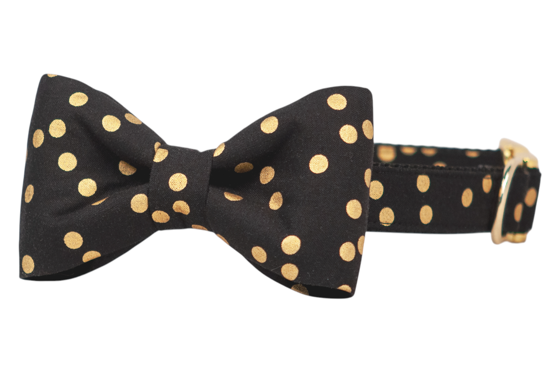 Classic bow tie dog collar in black fabric with metallic polka dots. The structured bow is sewn at the front of the collar, which is reinforced with stitching and equipped with metal hardware for a refined look.