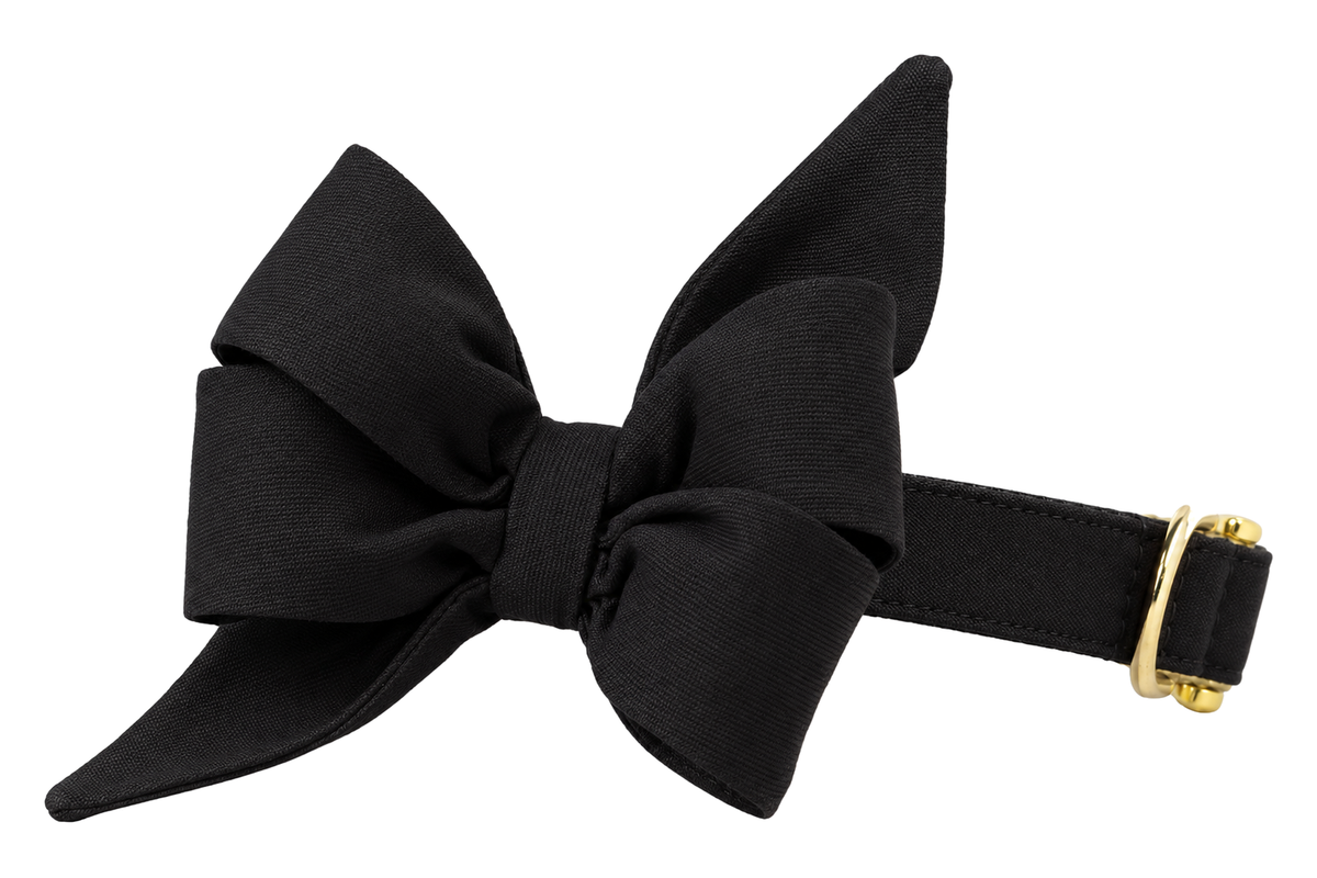 Dog collar featuring a large belle bow in Black Tie Woven fabric, a solid black woven fabric with a subtle texture, attached to a matching Black Tie Woven collar with a nylon inner lining and gleaming gold hardware, including a D-ring and buckle.