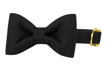 Classic dog collar featuring a Black Tie Woven fabric bow tie, a solid black woven fabric with a subtle texture, attached to a matching Black Tie Woven collar with a nylon inner lining and gleaming gold hardware, including a D-ring and buckle.