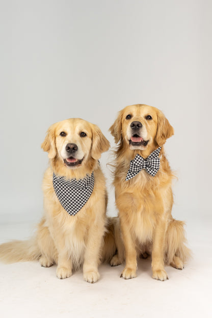 Matching houndstooth dog accessories featuring a bold black-and-white belle bow collar and coordinating bandana, styled on two retrievers for a polished, coordinated look that’s perfect for photos, events, or everyday flair.