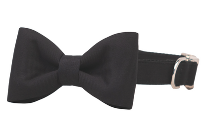 A classic black bow tie attached to a matching adjustable dog collar with silver hardware, designed for pets and displayed against a white background.