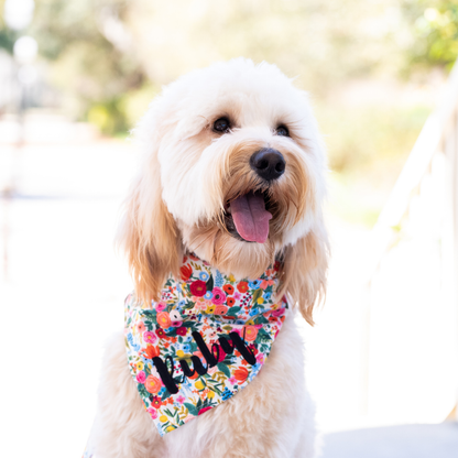 A cheerful light-colored dog, possibly a doodle mix, wears a bandana with a vivid floral print in red, blue, yellow, and green tones. The bandana features the name "Ruby" prominently embroidered in black script.
