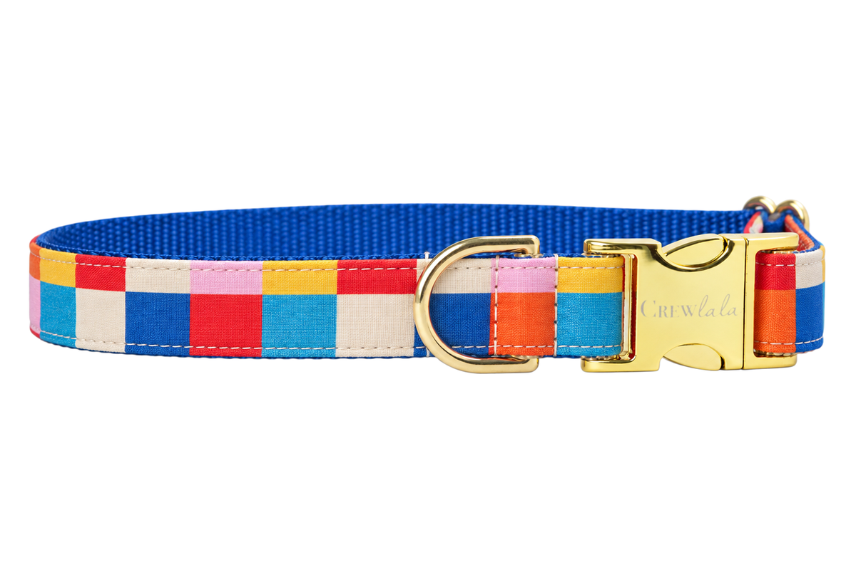 Plain Block Party dog collar without the bow, made with a bold colorblock check of red, cobalt blue, yellow, orange, pink and cream squares, lined with royal blue nylon webbing and gold hardware with a Crewlala logo buckle.