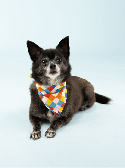 Bright and colorful checkered dog bandana featuring a playful mix of vibrant colors—perfect for adding a pop of personality to your pup’s everyday style or  special occasions.