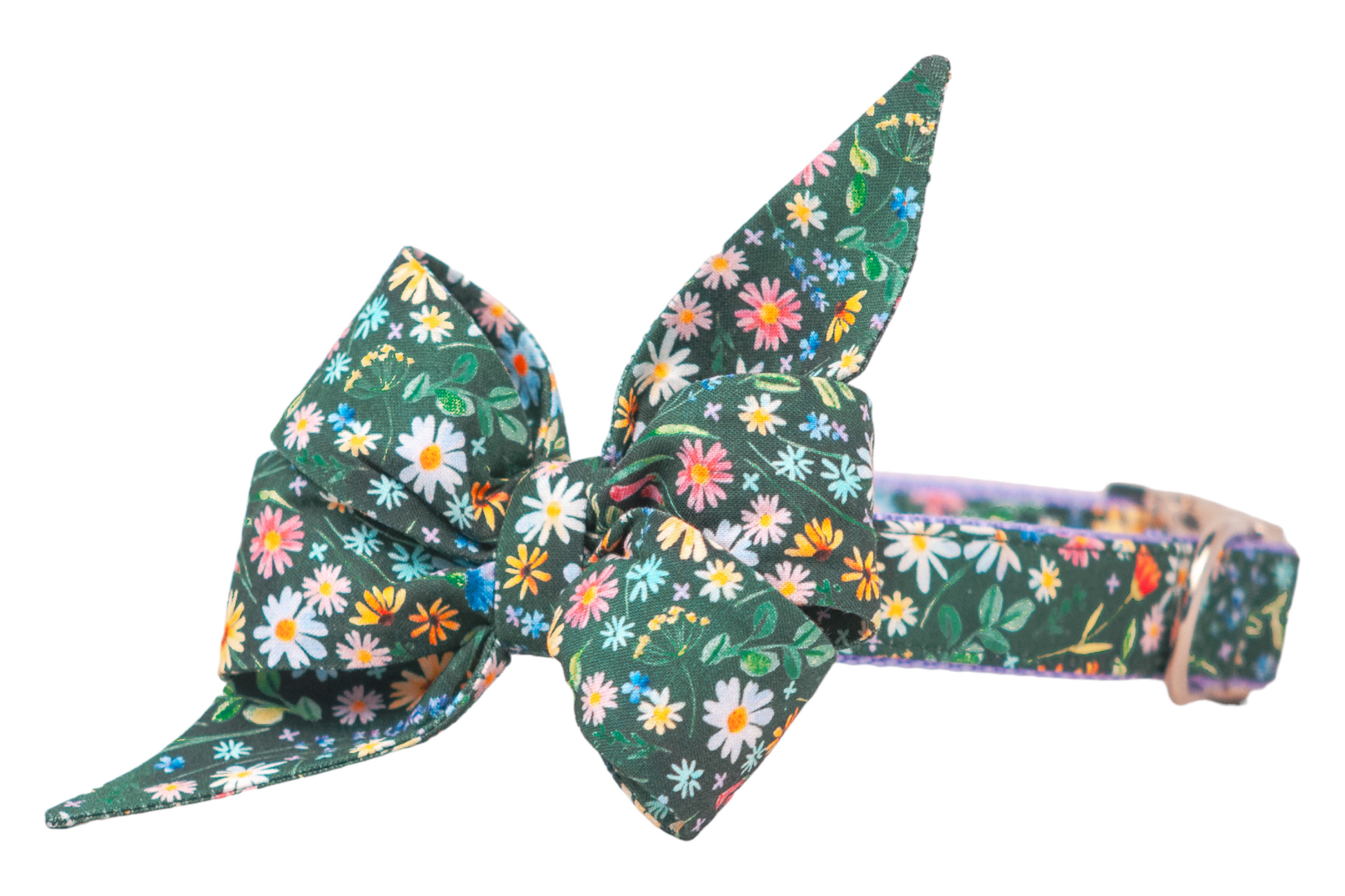 A dog collar with an attached matching large belle bow, made from dark green floral fabric with multicolored tiny flowers. The belle bow is tied in a bold, elegant style with exaggerated pointed tails, and the collar includes nylon backing and a shiny metal buckle.