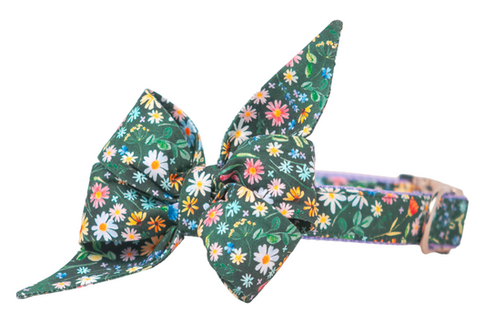 A dog collar with an attached matching large belle bow, made from dark green floral fabric with multicolored tiny flowers. The belle bow is tied in a bold, elegant style with exaggerated pointed tails, and the collar includes nylon backing and a shiny metal buckle.