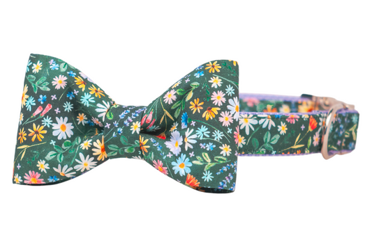 A green floral dog collar with an attached matching bow tie, featuring a detailed print of tiny daisies and wildflowers. The bow tie is centered and symmetrical, and the collar includes webbing and metal hardware.