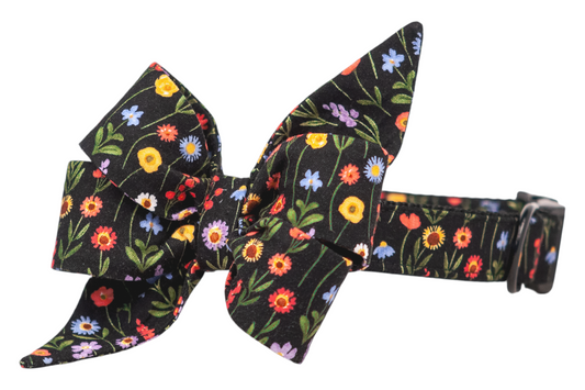 Black adjustable dog collar with a large, decorative floral belle bow attached, styled with a bold mix of colorful wildflowers on a black background. The belle bow is structured with layered points, giving it a dramatic look, and the collar features a black buckle and D-ring.