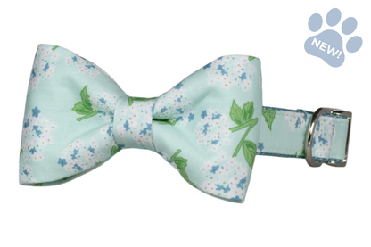 Hydrangea-print bow tie dog collar featuring a classic bow tie with white hydrangea blooms, blue floral accents, and green leaves on a soft mint blue background, attached to a matching collar with silver-tone hardware.