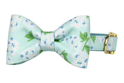 Classic dog collar featuring a Blue Hydrangeas fabric bow tie, a pale mint aqua print with soft blue and white hydrangea clusters and green leaves, attached to a matching Blue Hydrangeas collar with a nylon inner lining and gleaming gold hardware, including a D-ring and buckle.