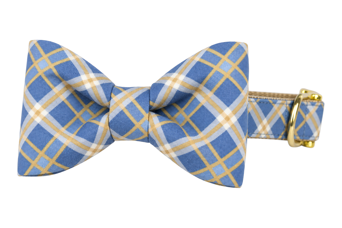 Classic dog collar featuring a Blue Ridge Plaid fabric bow tie, a slate blue plaid with tan, cream and pale yellow lines, attached to a matching Blue Ridge Plaid collar with a nylon inner lining and gleaming gold hardware, including a D-ring and buckle.