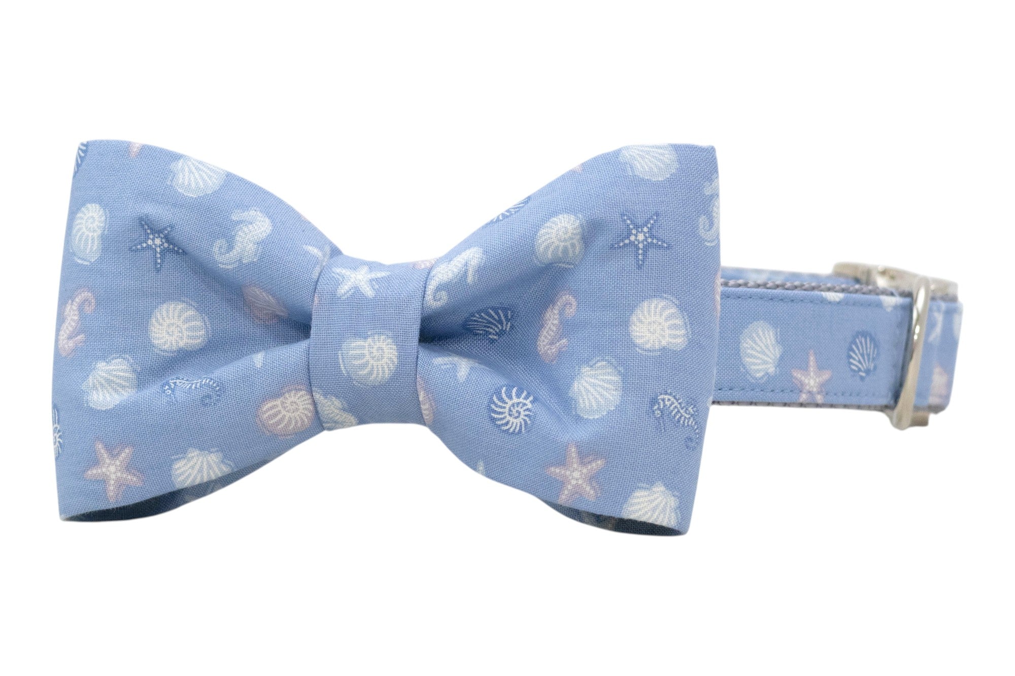 Light blue dog bow tie collar with a seashell and starfish pattern in soft white and pastel tones, attached to a matching collar with silver hardware.