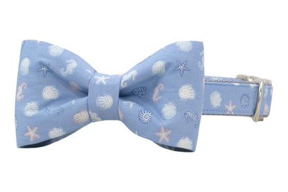 Light blue dog bow tie collar with a seashell and starfish pattern in soft white and pastel tones, attached to a matching collar with silver hardware.